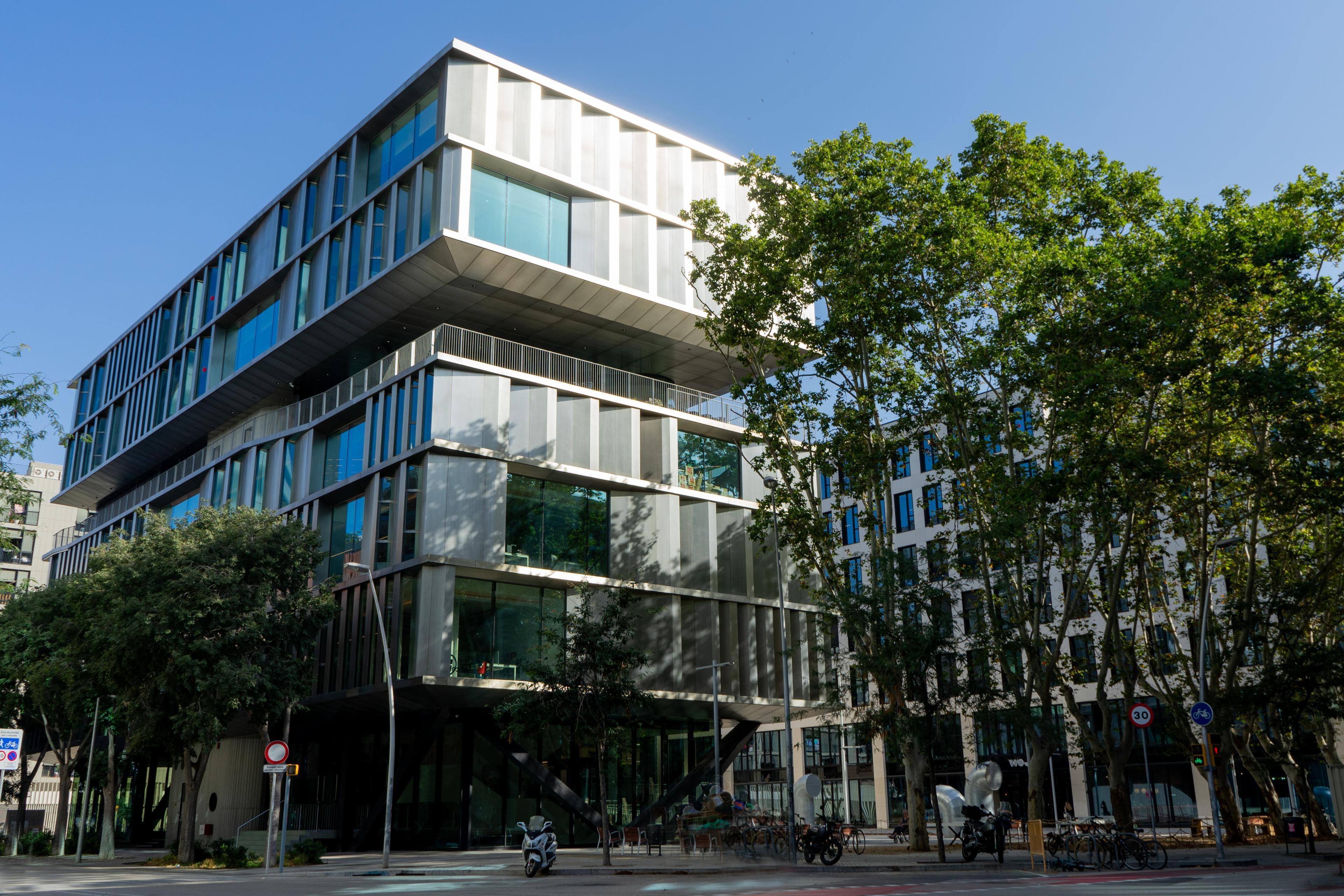 Modern Office Building with Tree-Lined Street